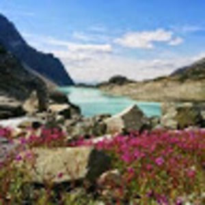 Meet your Posher, Patrick